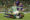 El centrocampista argentino del Betis, Giovani Lo Celso, cae ante el defensor de la Fiorentina durante el partido de ida de las semifinales de la Liga Conferencia en Sevilla. EFE/Julio Muñoz