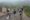 Un grupo de turistas desciende un tramo de la Gran Muralla China cerca de Pekín, China, el lunes 5 de mayo de 2025, festivo nacional del Primero de Mayo, que se celebra en China durante cinco días, del 1 al 5 de mayo, en los que los lugares turísticos más populares se llenan de gente. EFE/EPA/JESSICA LEE