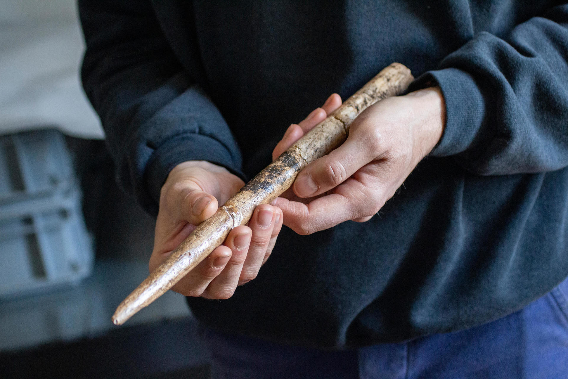 Punta de proyectil de gran tamaño fabricada con un hueso de ballena gris procedente del abrigo rocoso de Duruthy (Francia), datada entre 18.000 y 17.500 años atrás. Imagen: Alexandre Lefebvre/Universidad de Cantabria