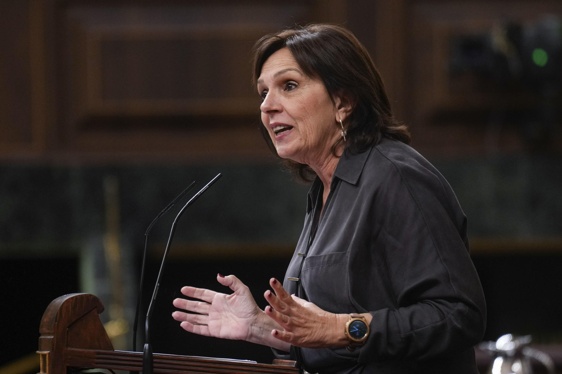 La diputada del PSOE Carmen Martínez interviene en un pleno en el Congreso de los Diputados. EFE/ Borja Sánchez-Trillo/Archivo