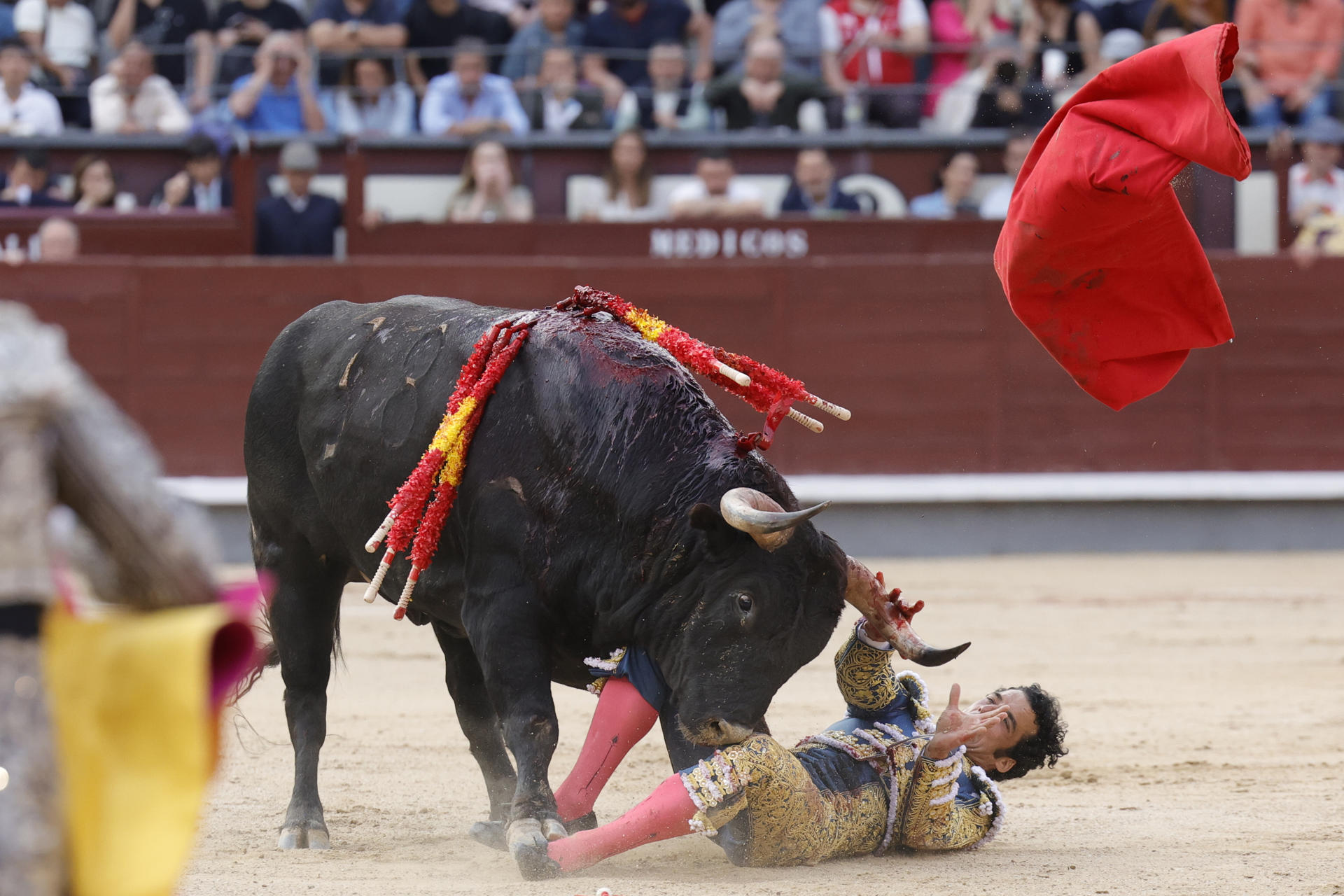 El diestro Morenito de Aranda en la lidia al segundo de los de su lote, durante la corrida de la Feria de San Isidro celebrada este miércoles en la plaza de toros de Las Ventas, en Madrid. EFE/Zipi