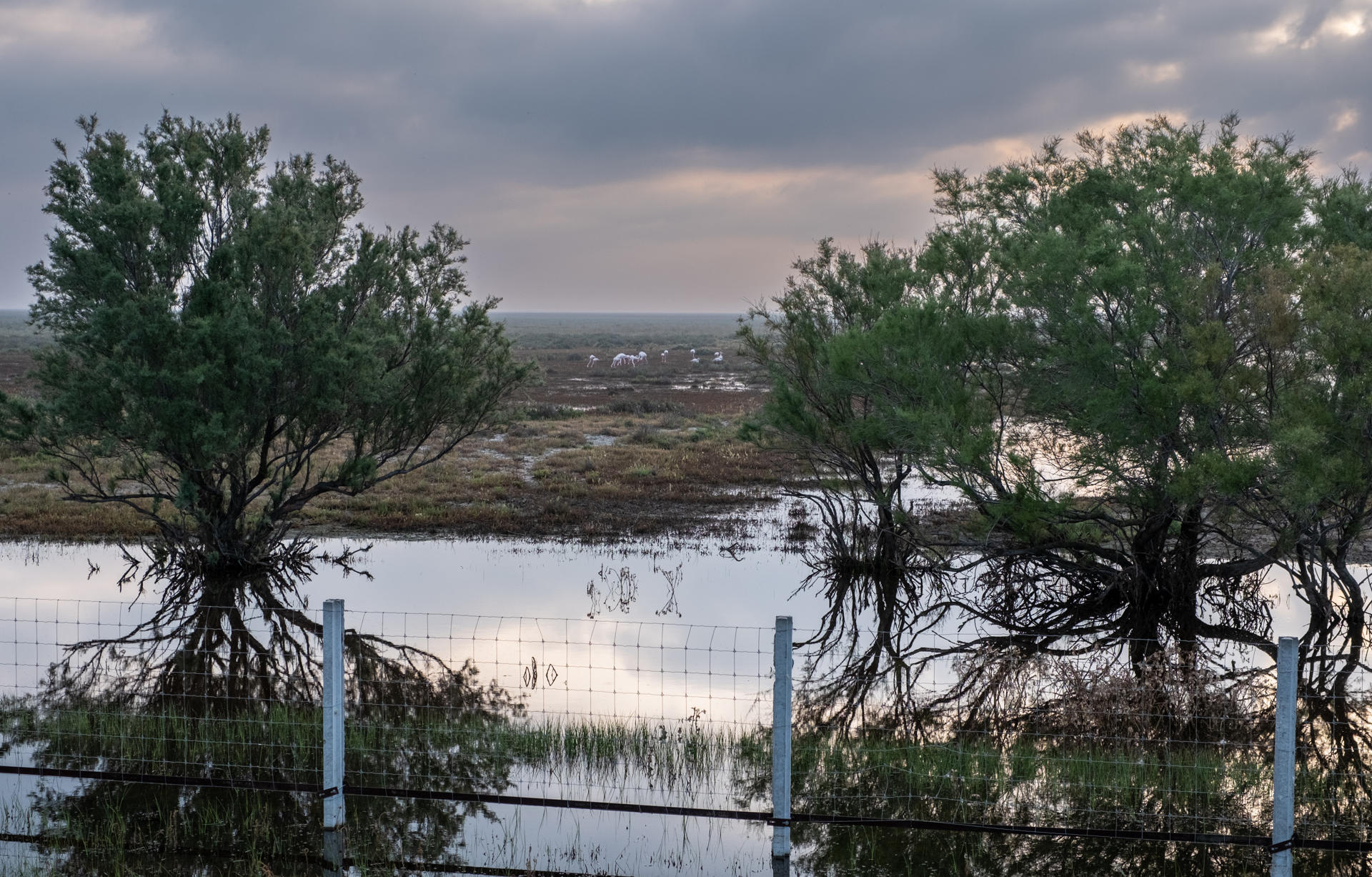 Imagen de archivo de las lagunas más importantes de Doñana. EFE/ Julián Pérez