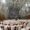 - Una imagen de un folleto proporcionada por Vatican Media muestra a los cardenales electores asistiendo a la misa celebrada por el Papa León XIV en la Capilla Sixtina en la Ciudad del Vaticano, 09 de mayo de 2025. (Papa, Cardenal) EFE/EPA/VATICAN MEDIA HANDOUT SOLO PARA USO EDITORIAL/SIN VENTAS
```