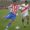 Fotografía de archivo que muestra al exfutbolista paraguayo Julio Manzur (izq.) en un partido entre Paraguay y Perú por la eliminatoria sudamericana para el Mundial de Alemania 2006. EFE/Andrés Cristaldo