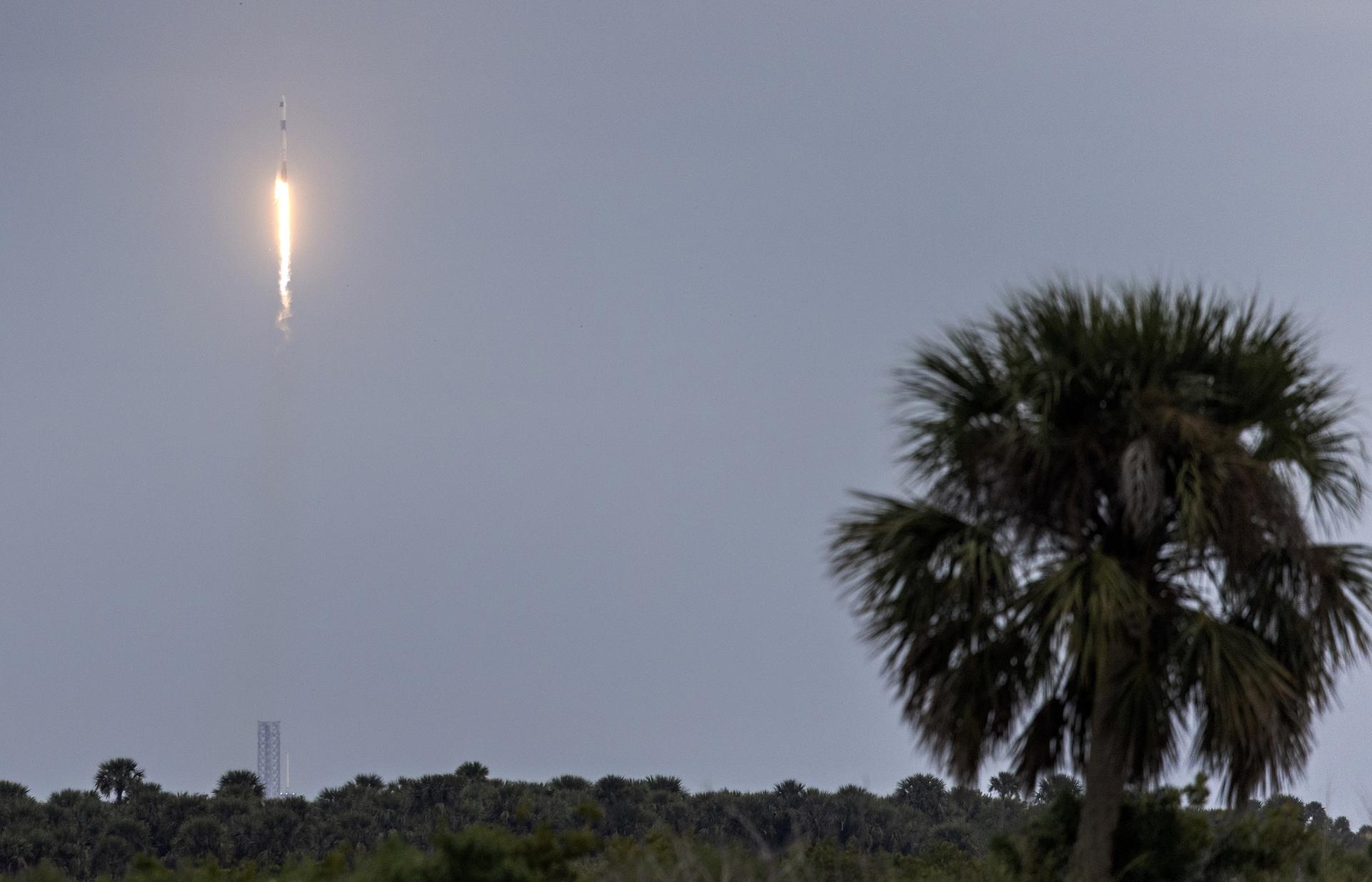 Fotografía de archivo del cohete Falcon 9 que transporta a la tripulación de la Misión Axiom 3 (Ax-3). EFE/CRISTOBAL HERRERA-ULASHKEVICH