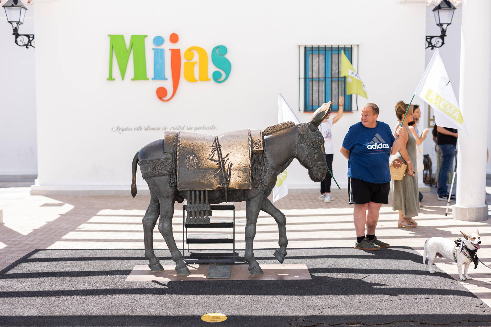 Imagen de archivo de un burro-taxi en la localidad malagueña de Mijas. EFE/Carlos Díaz