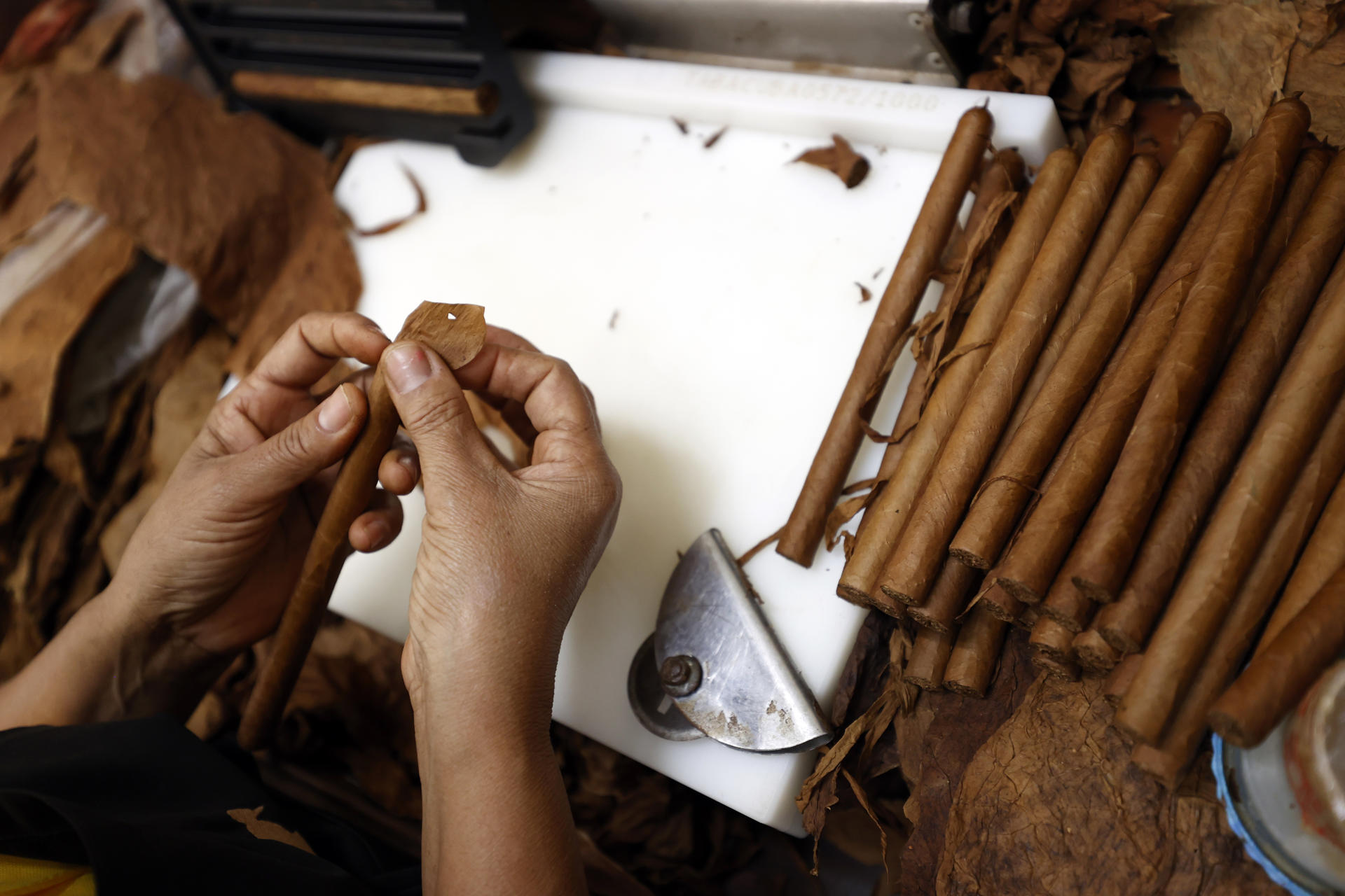 Fotografía de archivo en donde se ven trabajadores de la fábrica de tabacos Cohiba en La Habana (Cuba). EFE/ Ernesto Mastrascusa