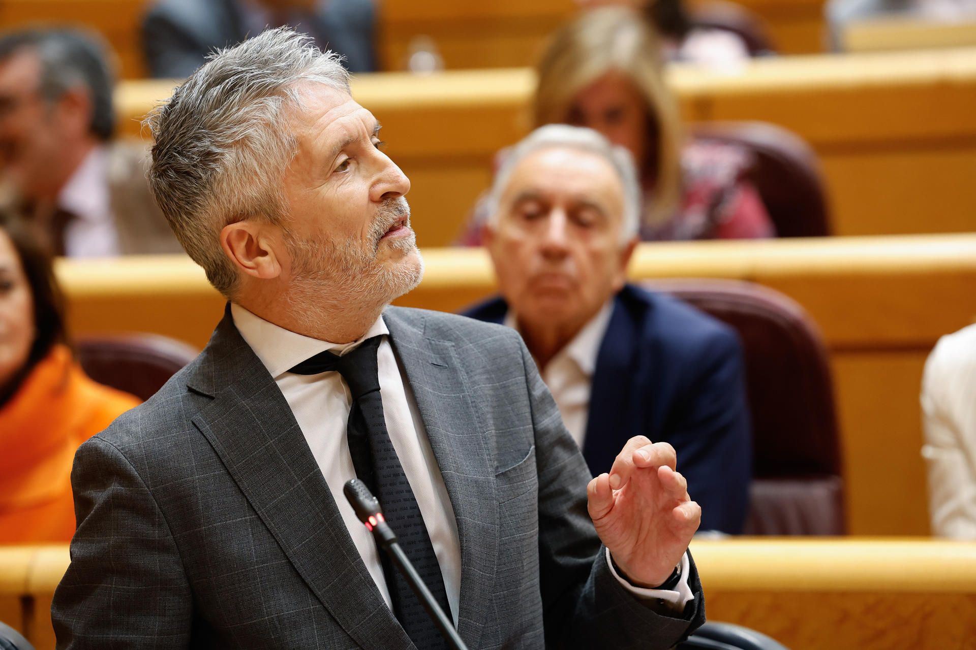 MADRID, 06/05/2025.- El ministro del Interior, Fernando Grande Marlaska, interviene en la sesión de control al Gobierno celebrada este martes por el pleno del Senado. EFE/ J.P.Gandul