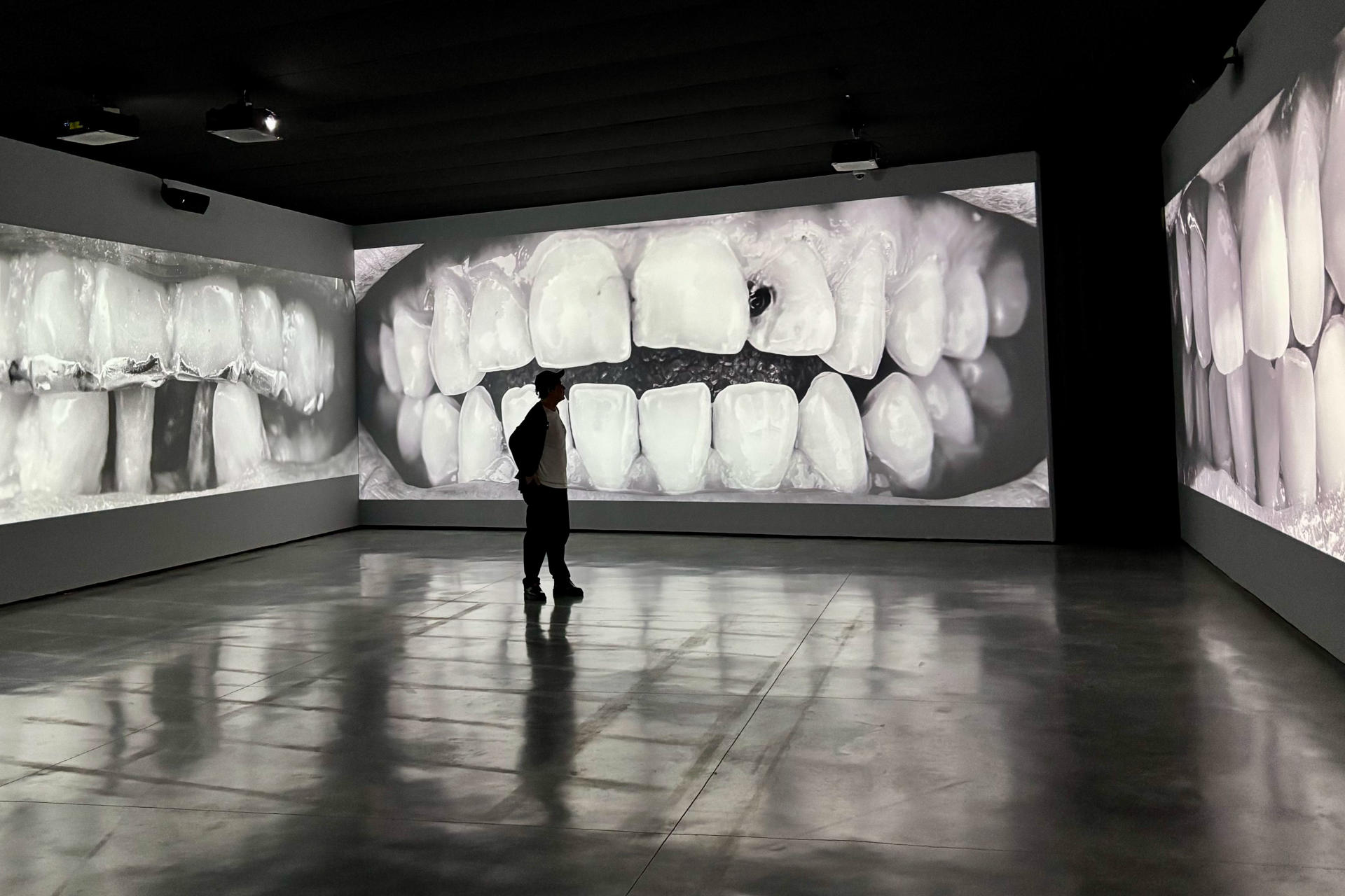 El artista Santiago Sierra (Madrid, 1966), conocido por sus obras de contenido crítico y político, recorre casi cuarenta años de trayectoria con una gran exposición individual en el Museo de Arte Contemporáneo Helga de Alvear de Cáceres, donde rinde homenaje a la galerista alemana, fallecida el pasado febrero y su mecenas en numerosas ocasiones. Se trata de ‘Santiago Sierra. 2.068 dientes, The Maelström, Archivo y Bandera negra’, que el artista ha presentado este miércoles en la capital cacereña y que desde el próximo viernes ofrecerá 'performances', instalaciones, fotografía y vídeos .-EFE/ Eduardo Villanueva