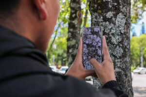 Una persona registra una planta en la plataforma digital iNaturalist este jueves, en Quito (Ecuador). EFE/ José Jácome