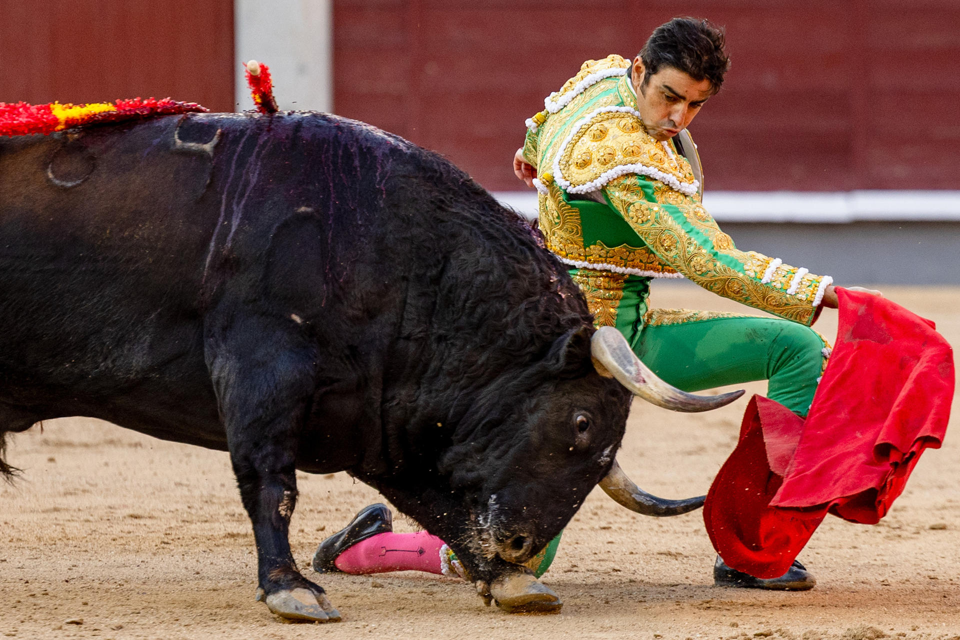 El diestro Miguel Ángel Perera durante la corrida de toros con reses de Fuente Ymbro, este domingo en la Plaza de Toros de Las Ventas en Madrid.-EFE/ Daniel González