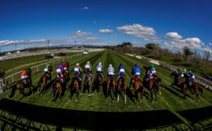 Fotografía de una salida de una carrera en el Hipódromo de la Zarzuela, en foto de archivo de Juanjo Martín. EFE