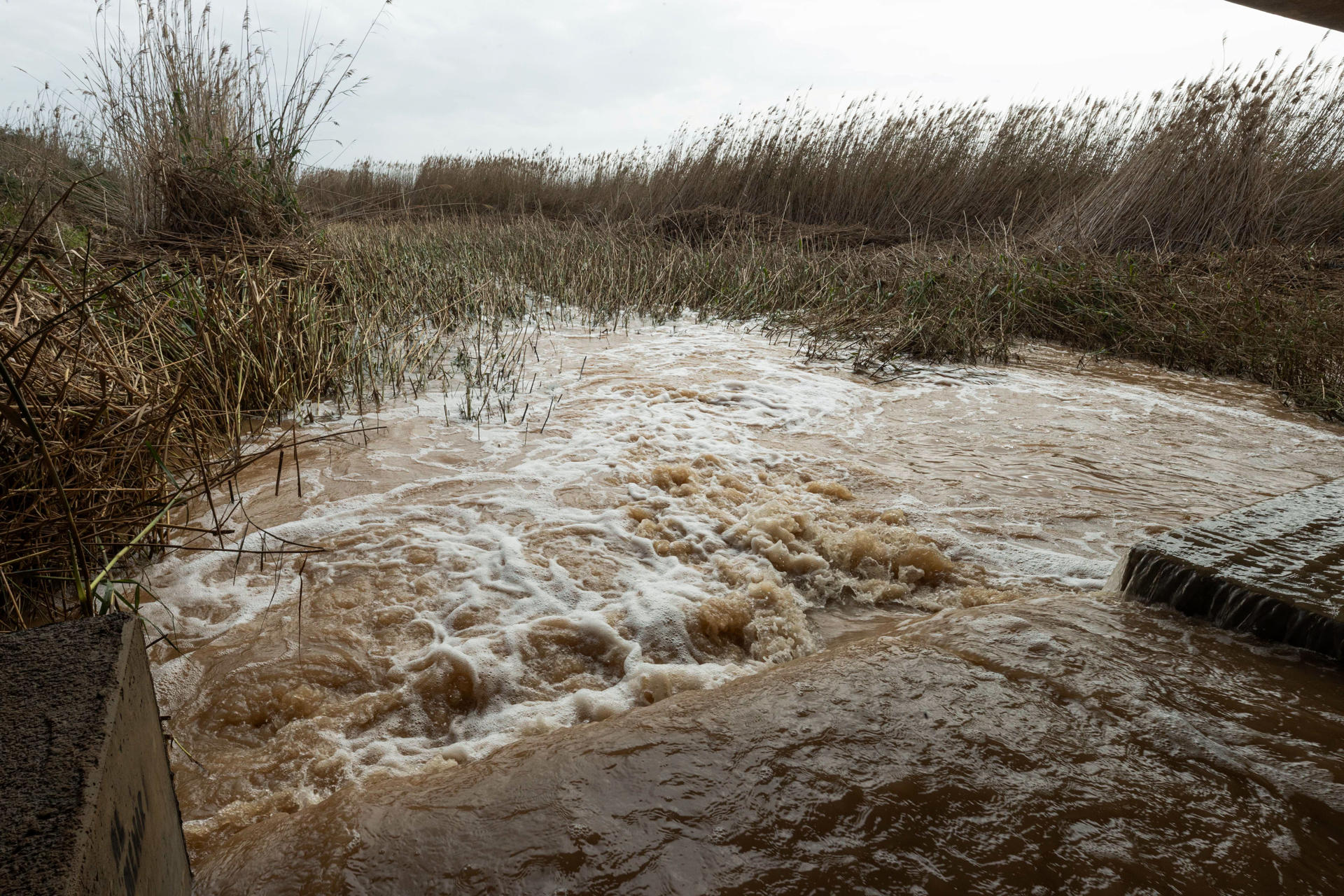 Desembocadura de la Rambla del Albujón al Mar Menor tras las lluvias caídas en marzo en los municipios ribereños. EFE/Marcial Guillén/Archivo