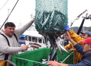Fotografía de archivo de pescadores vascos descargando verdel en su barco. EFE/Luis Tejido