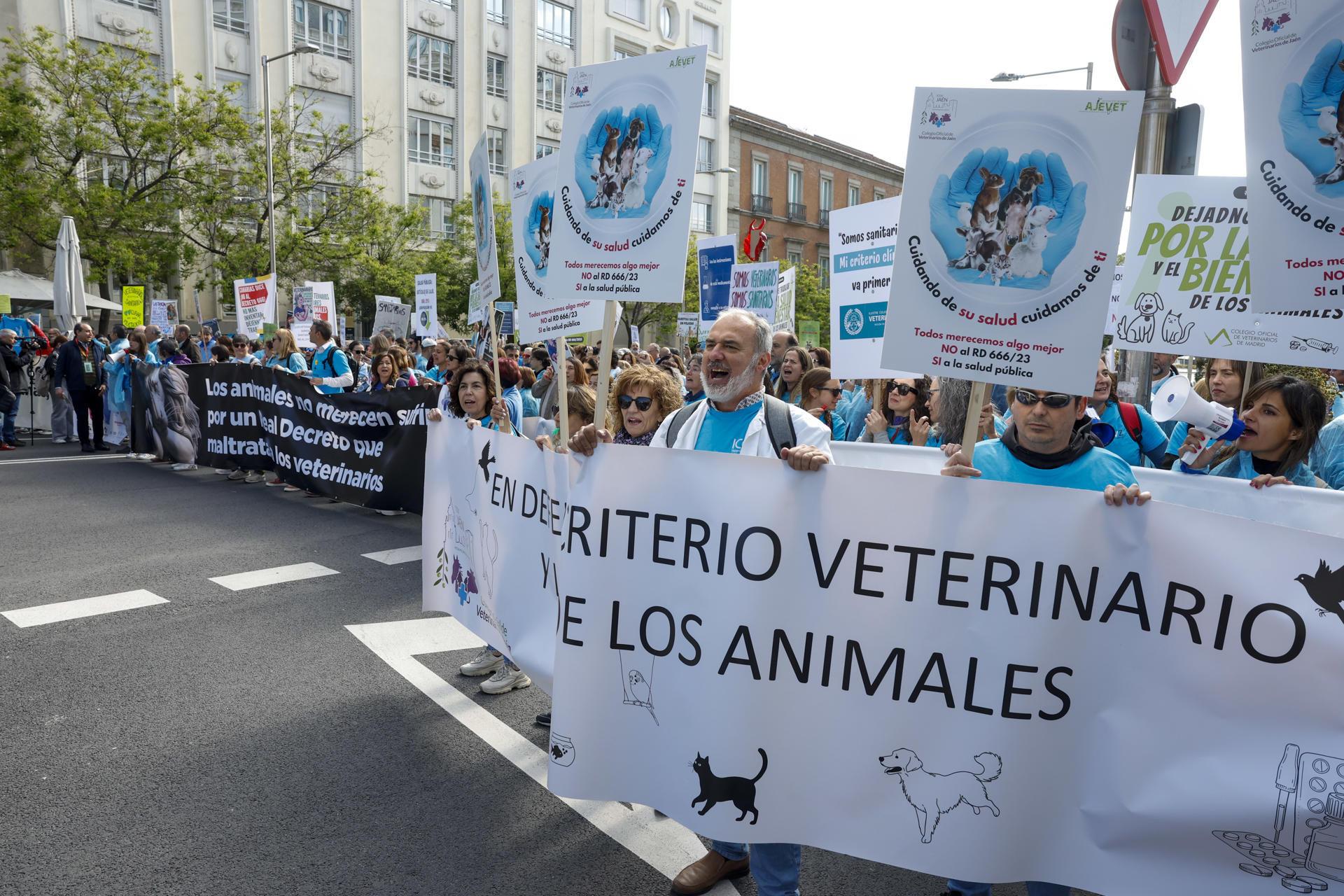 La profesión veterinaria se concentra frente al Congreso de los Diputados por "la defensa de la salud de nuestros animales", este miércoles, en Madrid. EFE/Juan Carlos Hidalgo