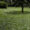 Vista este miércoles del Campo de San Francisco, en el centro de Oviedo. EFE/J.L.Cereijido