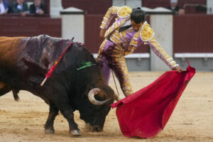 El diestro Diego San Román da un pase con la muleta al segundo de los de su lote, durante la corrida de la Feria de San Isidro que se celebra este domingo en la plaza de toros de Las Ventas, en Madrid. EFE/Borja Sánchez-Trillo