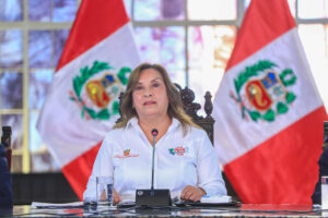 Fotografía cedida que muestra a la mandataria peruana, Dina Boluarte. EFE/ Presidencia de Perú
