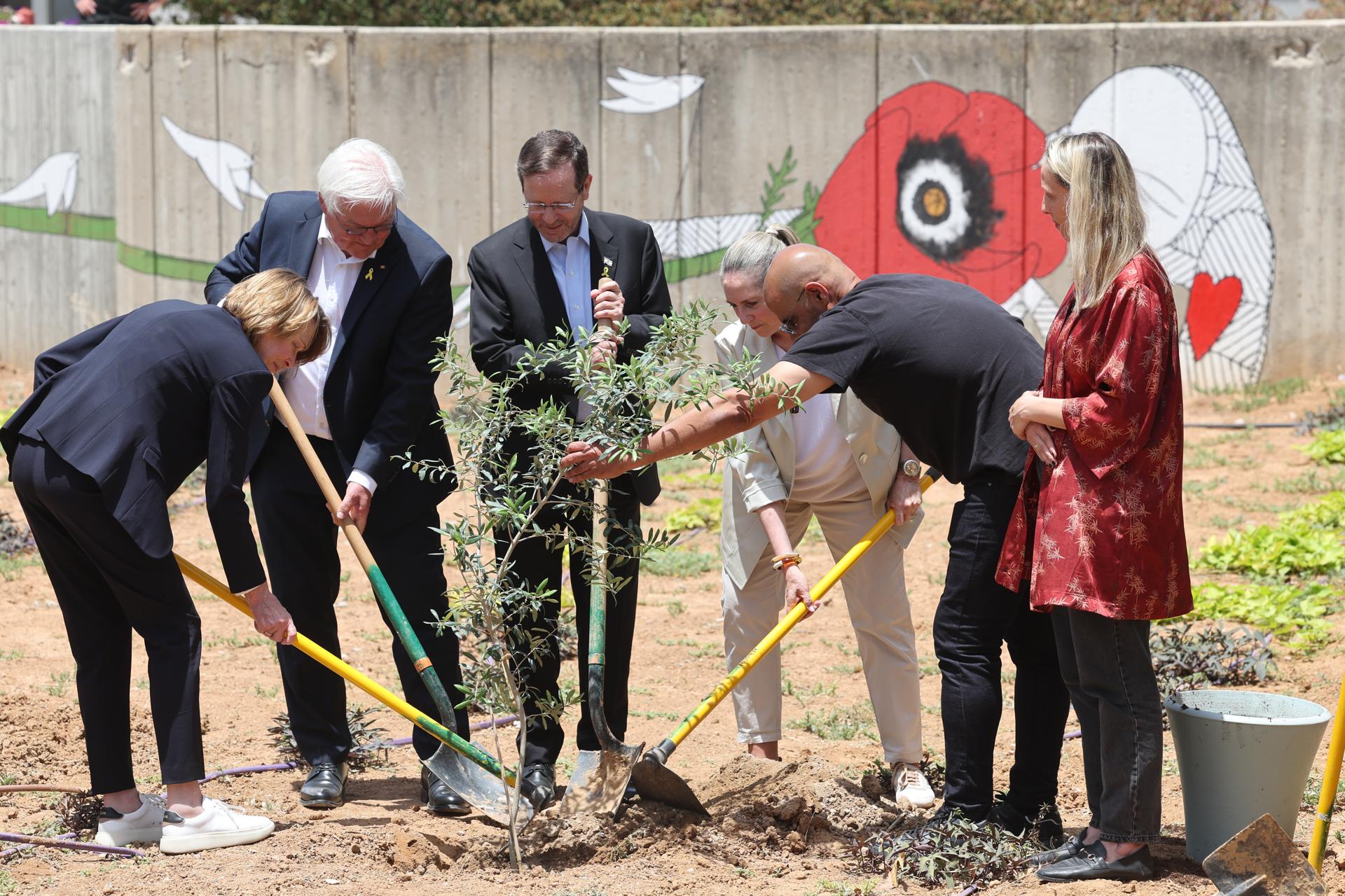 El presidente israelí, Isaac Herzog (3-I), su esposa Michal Herzog (3-D), el presidente alemán, Frank-Walter Steinmeier (2-I), y su esposa Elke Buedenbender (I) plantan un olivo en el lugar donde solía estar la antigua galería de arte Be'eri durante su visita al Kibutz Be'eri, cerca de la frontera con Gaza, sur de Israel, 14 de mayo de 2025. Los dos presidentes asisten a una ceremonia de colocación de la primera piedra en la antigua galería de arte Be'eri que fue destruida durante el ataque de Hamás del 7 de octubre y obtienen una visión general de la nueva galería que se construirá en el futuro en el Kibutz Be'eri. La visita de Steinmeier tiene lugar con motivo del 60 aniversario del establecimiento de relaciones diplomáticas entre Alemania e Israel. (Alemania, Kibutz) EFE/EPA/ABIR SULTAN