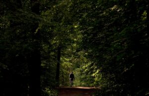 En la imagen de archivo, una mujer camina con su perro en un momento soleado en el bosque Heide de Dresde (Alemania). EFE/Filip Singer