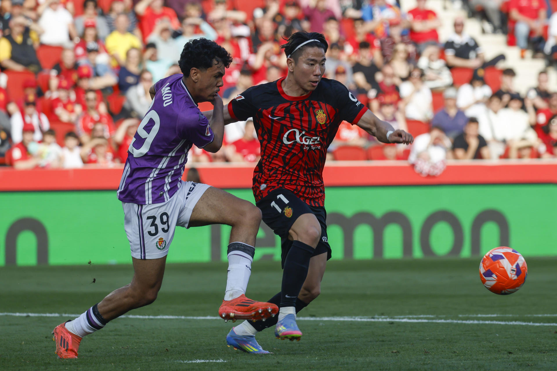 El delantero japonés del Mallorca, Takuma Asano (d), disputa el balón ante el defensa marroquí del Valladolid, Adam Aznou, durante el partido de la jornada 35 de LaLiga EA Sports. EFE/ Cati Cladera