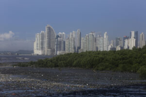 Fotografía que muestra desechos en los manglares que protegen una de las áreas de la ciudad de Panamá conocida como costa del este, en Ciudad de Panamá. EFE/Carlos Lemos