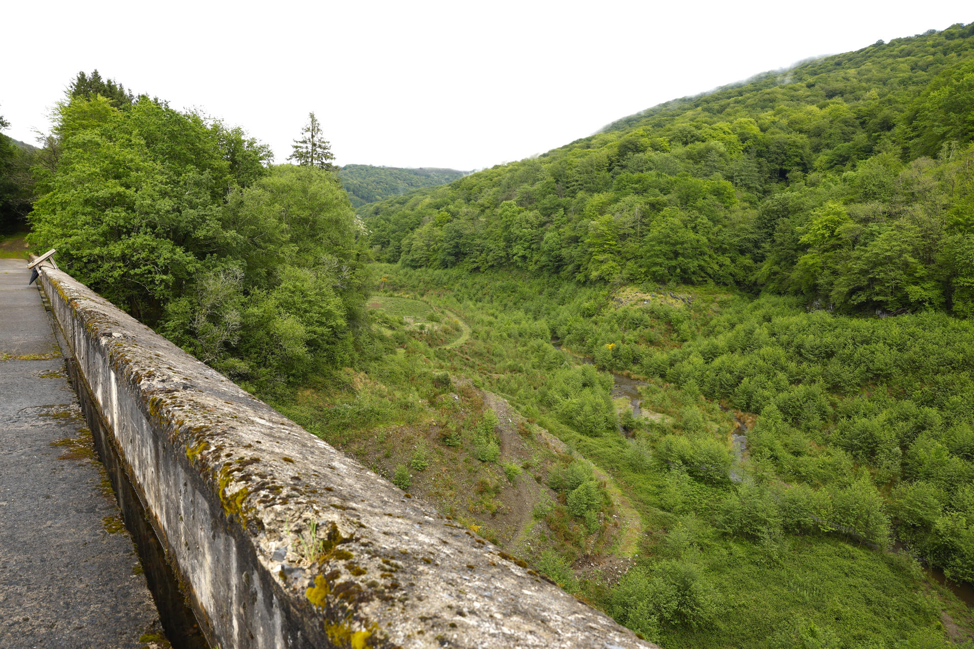 El Ayuntamiento de San Sebastián derribará parcialmente la presa de Artikutza, una infraestructura construida a mediados del siglo XX que nunca llegó a entrar en funcionamiento al cien por cien por problemas estructurales y cuya existencia afecta al hábitat de especies emblemáticas como el desmán ibérico, en peligro crítico de extinción. EFE/ JJ. Guillén