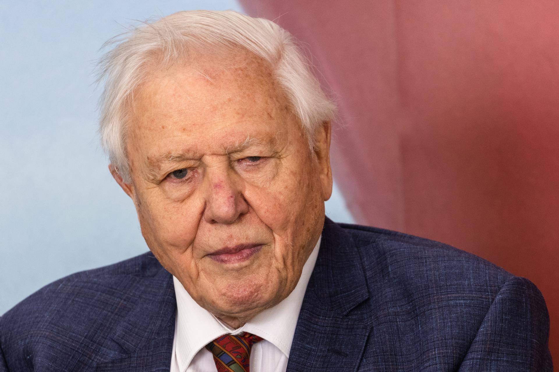 Fotografía de archivo del naturalista británico David Attenborough. EFE/EPA/VICKIE FLORES