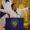 Imagen de archivo del presidente de Colombia, Gustavo Petro. EFE/ Bienvenido Velasco