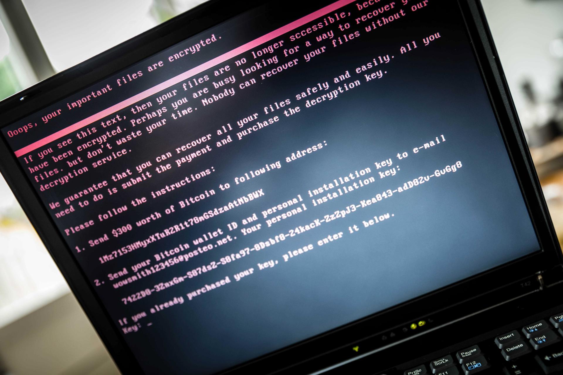 Pantalla de un ordenador infectado con un virus. EFE/Rob Engelaar/Archivo