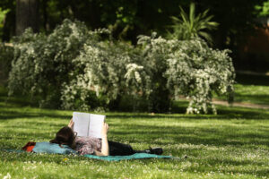 Imagen de una persona leyendo al sol en el Parque del Retiro, en Madrid. EFE/ Alberto Aguado