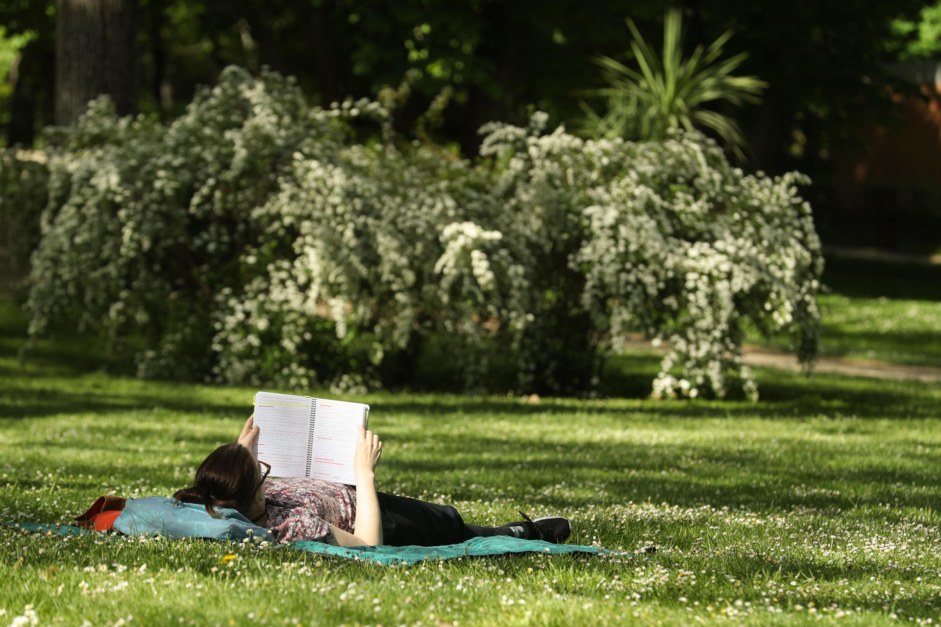Imagen de una persona leyendo al sol en el Parque del Retiro, en Madrid. EFE/ Alberto Aguado