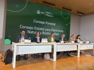 Fotografía facilitada por el Ministerio para la Transición Ecológica de la reunión conjunta del Consejo Forestal Nacional y del Consejo Estatal del Patrimonio Natural y la Biodiversidad.  EFE