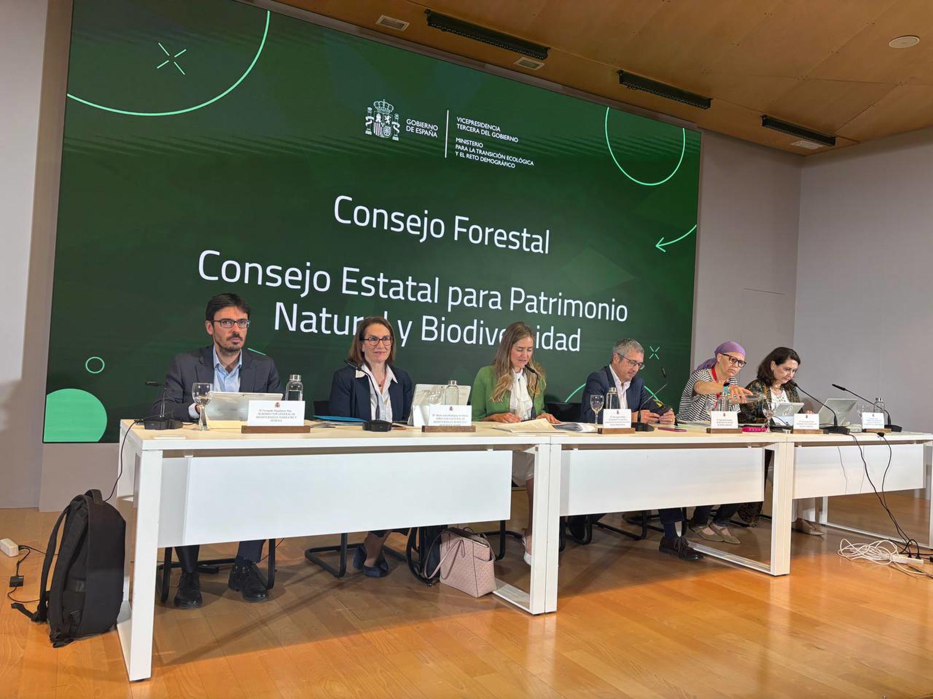 Fotografía facilitada por el Ministerio para la Transición Ecológica de la reunión conjunta del Consejo Forestal Nacional y del Consejo Estatal del Patrimonio Natural y la Biodiversidad.  EFE