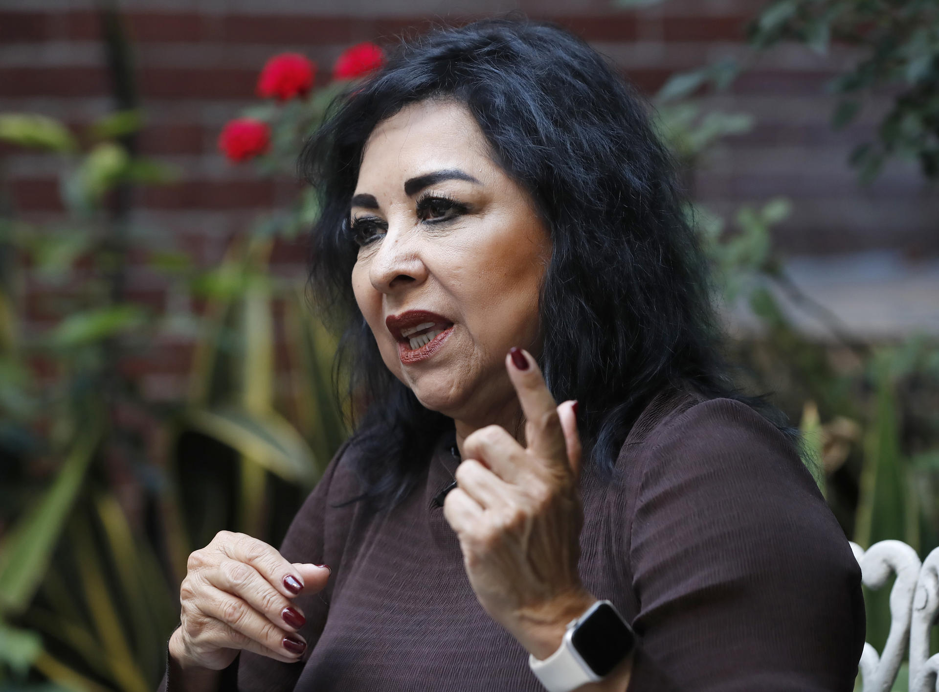 La candidata independiente a ministra de la Suprema Corte de Justicia de la Nación, Arely Reyes Terán, habla durante una entrevista con EFE este lunes en la Ciudad de México (México). EFE/ Mario Guzmán