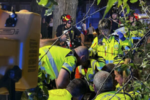 Un joven de 25 años ha resultado herido grave esta madrugada al caerle encima la rama de un árbol en la plaza San Vicente de Paul en el madrileño barrio de Carabanchel. EFE/Ayuntamiento de Madrid SOLO USO EDITORIAL SOLO DISPONIBLE PARA ILUSTRAR LA NOTICIA QUE ACOMPAÑA (CRÉDITO OBLIGATORIO)