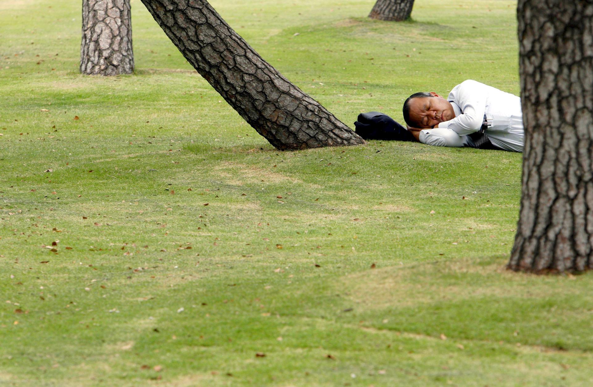 En la imagen de archivo, un hombre se echa la siesta en un parque del centro de Tokio, en Japón. EFE/Franck Robichon