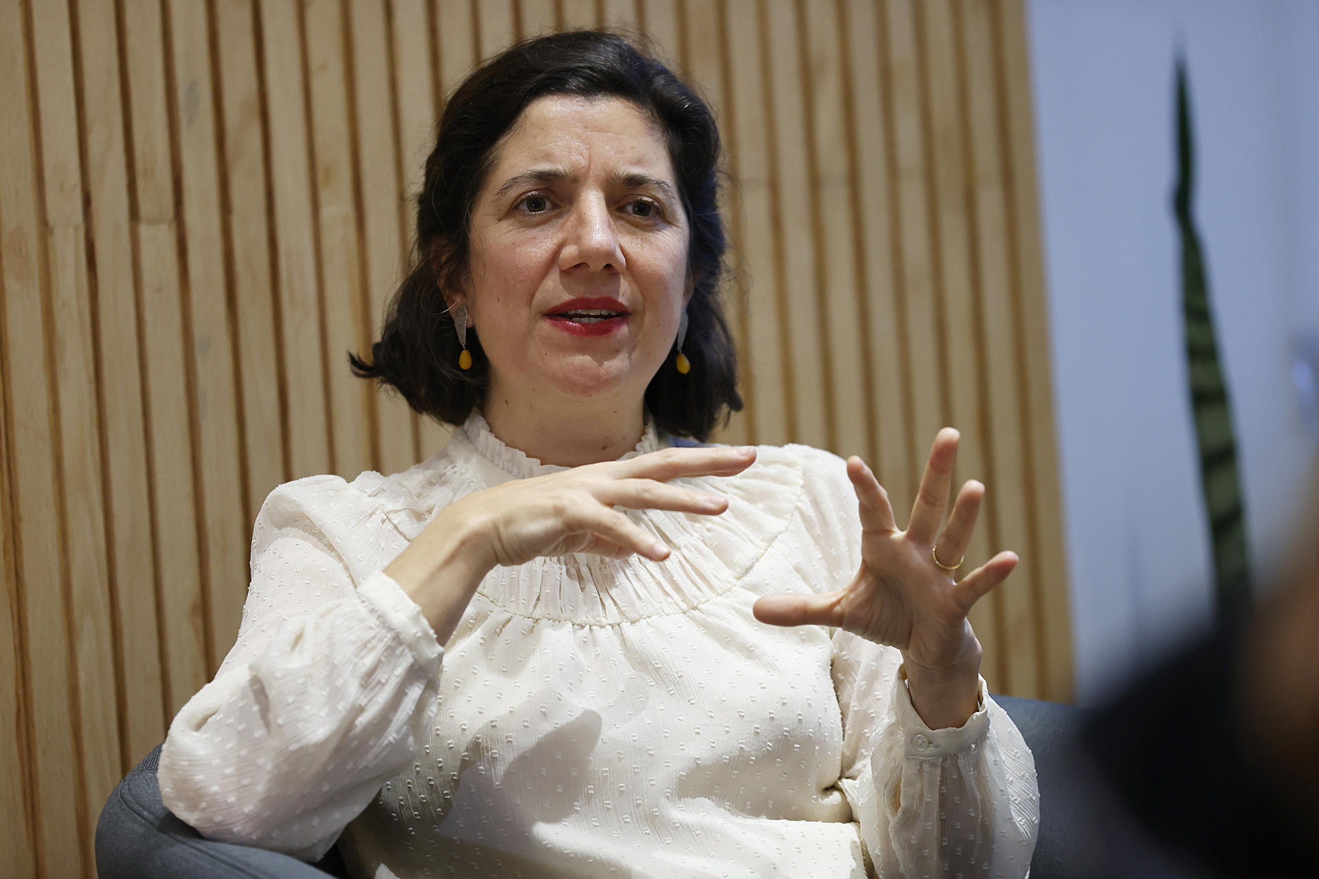 La ministra de Ciencia y Tecnología de Chile y portavoz del Gobierno, Aisen Etcheverry, habla durante una entrevista con EFE este miércoles, en Santiago (Chile). EFE/ Elvis González