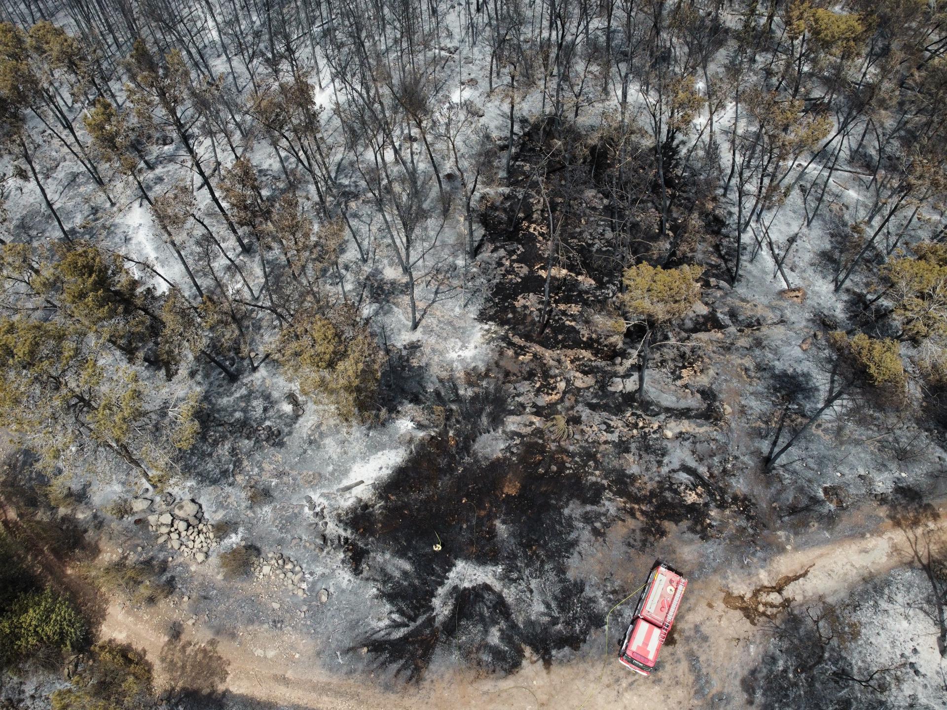 Firefighters work to extinguish a fire burning in the Latrun area, in central Israel, between Jerusalem and Tel Aviv, 01 May 2025. EFE/EPA/ABIR SULTAN