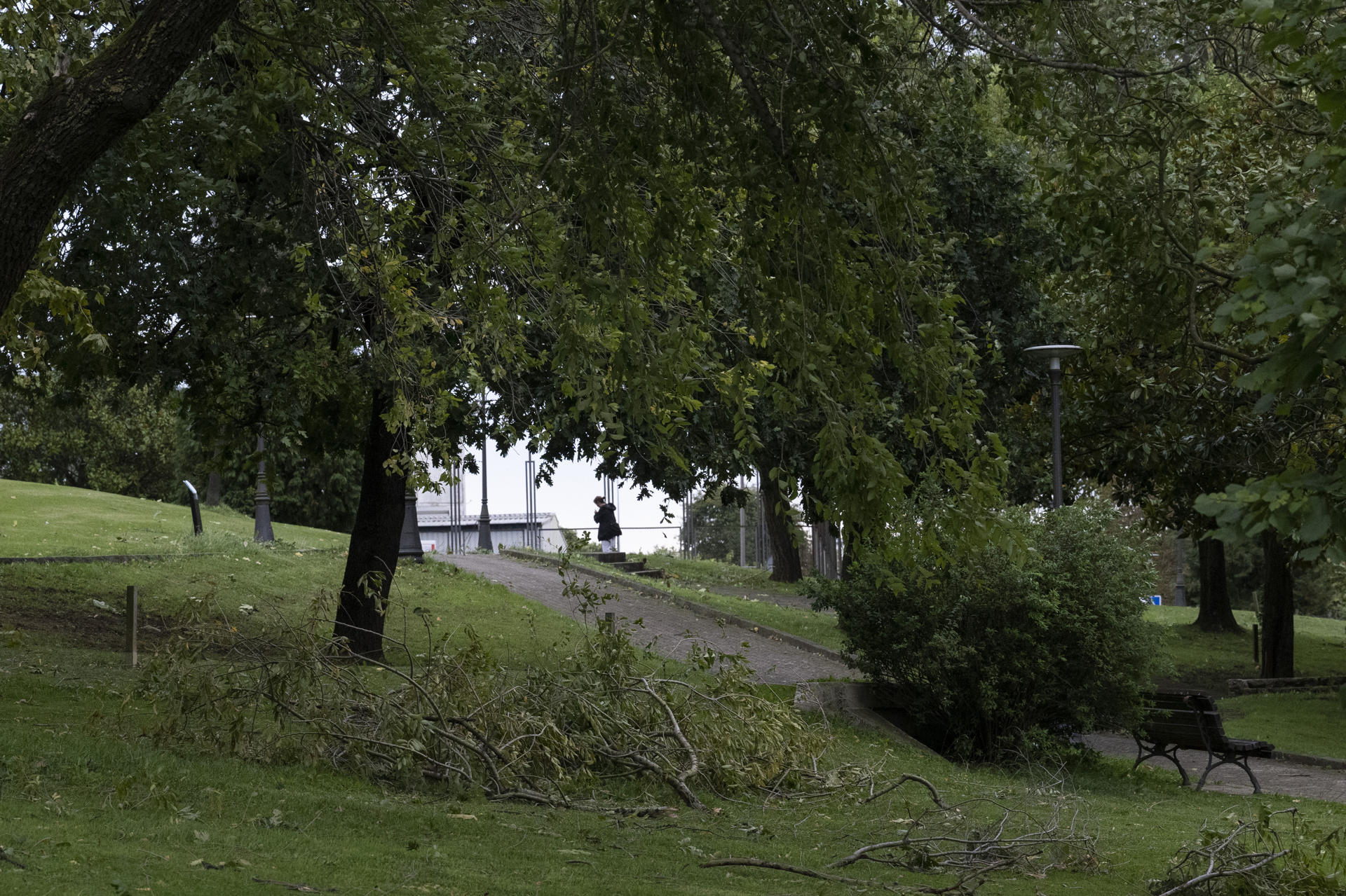 Imagen de archivo de un parque de Santander. EFE/Pedro Puente Hoyos