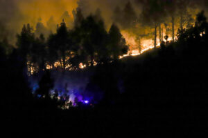 Fotografía de archivo de un incendio forestal en El Paso (La Palma). EFE / Luis G Morera.