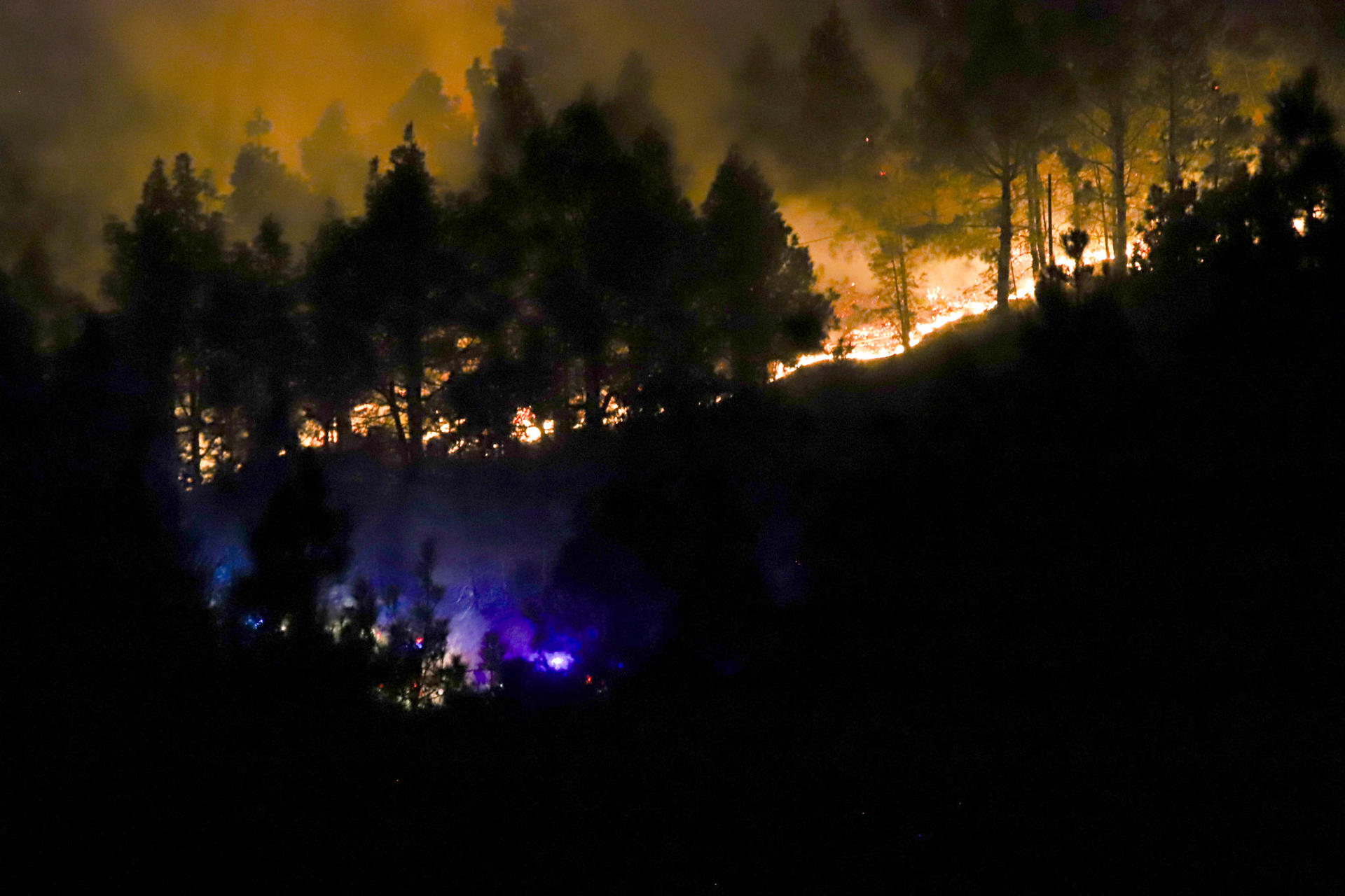 Fotografía de archivo de un incendio forestal en El Paso (La Palma). EFE / Luis G Morera.