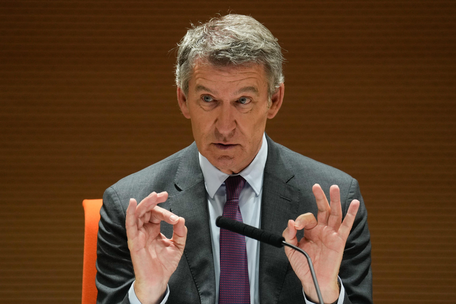 El presidente del PP, Alberto Núñez Feijóo, pronuncia la conferencia 'Una España que vuelva a funcionar', este martes en el Colegio General de Economistas, en Madrid. EFE/ Borja Sanchez-trillo