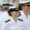 La princesa Leonor camina durante la escala que el buque escuela Juan Sebastián de Elcano este sábado, en Ciudad de Panamá (Panamá). EFE/ Bienvenido Velasco