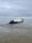 Fotografía divulgada por la Guardia Costera de los Estados Unidos (USCG) del Norte de California donde se muestra la embarcación tipo panga tirada en la orilla de la playa, después de naufragar en las aguas de la Costa de Del Mar, en el condado de San Diego, cerca a la frontera de California con México. EFE/USCGNorCal