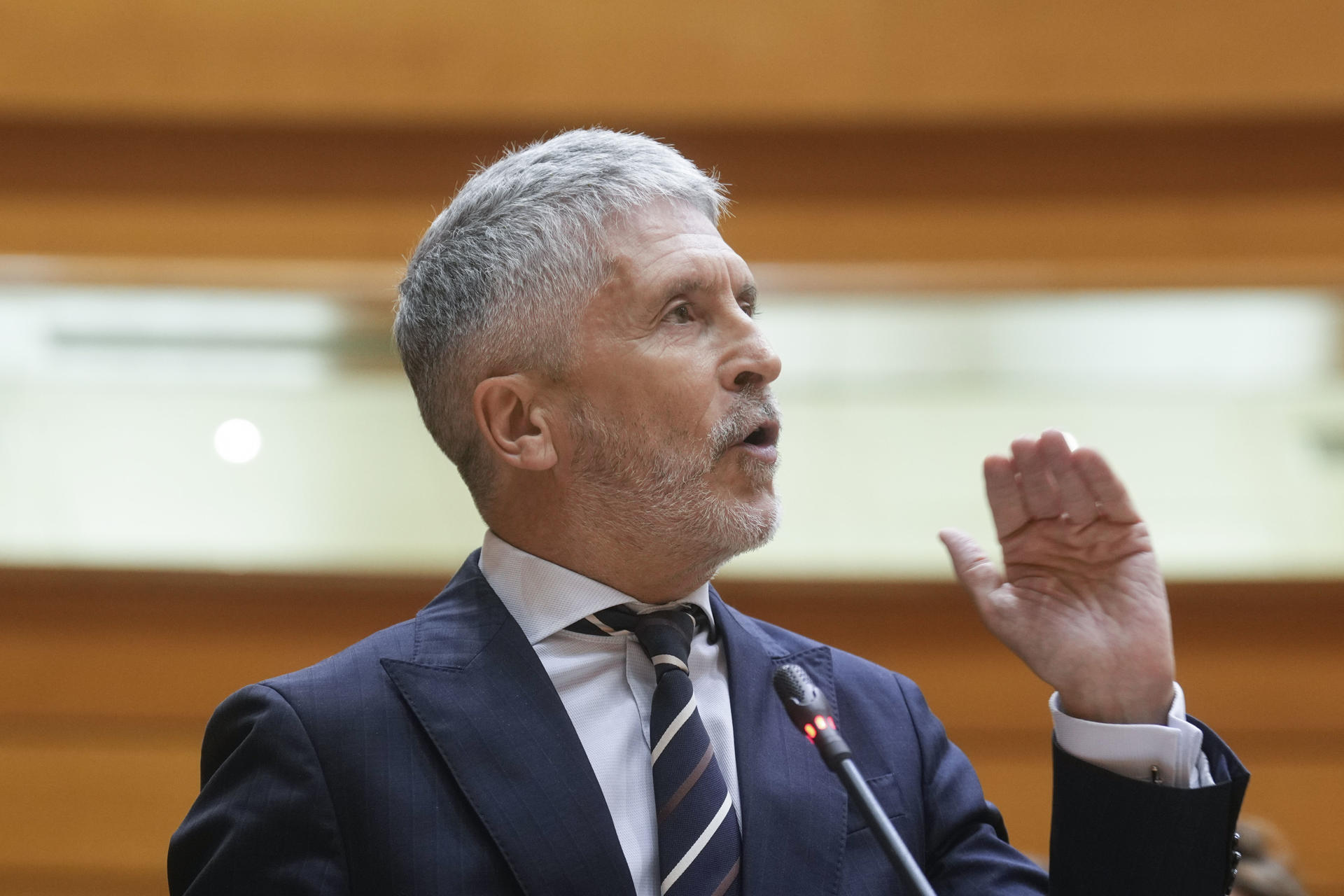 El ministro del Interior, Fernando Grande-Marlaska, interviene durante el Pleno del Senado este martes, en Madrid. EFE/ Borja Sánchez-Trillo