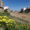 Imagen de archivo del barranco del Poyo a su paso por Paiporta. EFE/Manuel Bruque