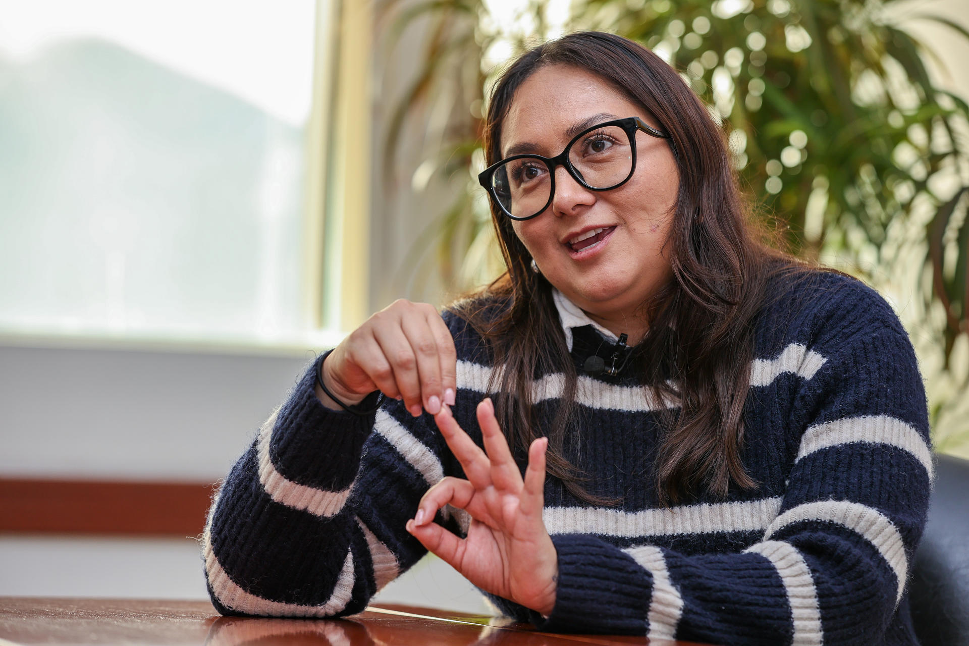 Fotografía del 5 de mayo del 2025 de la subsecretaria de Patrimonio Natural del Ministerio de Ambiente, Agua y Transición Ecológica de Ecuador, Glenda Ortega, hablando en una entrevista con EFE, en Quito (Ecuador). EFE/José Jácome