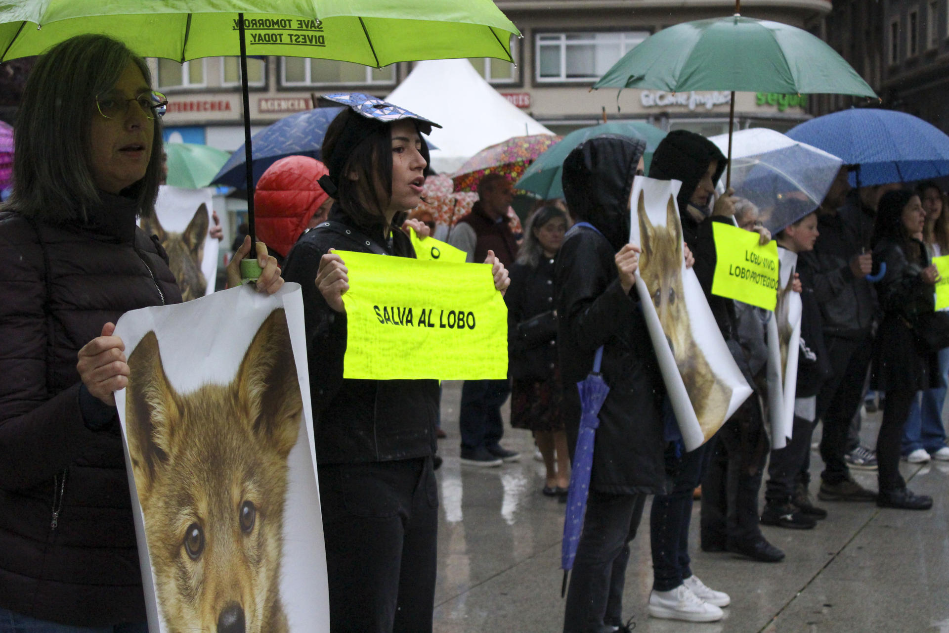 Concentración en defensa del lobo ibérico en Santander, en una imagen de archivo. EFE/Eva García González