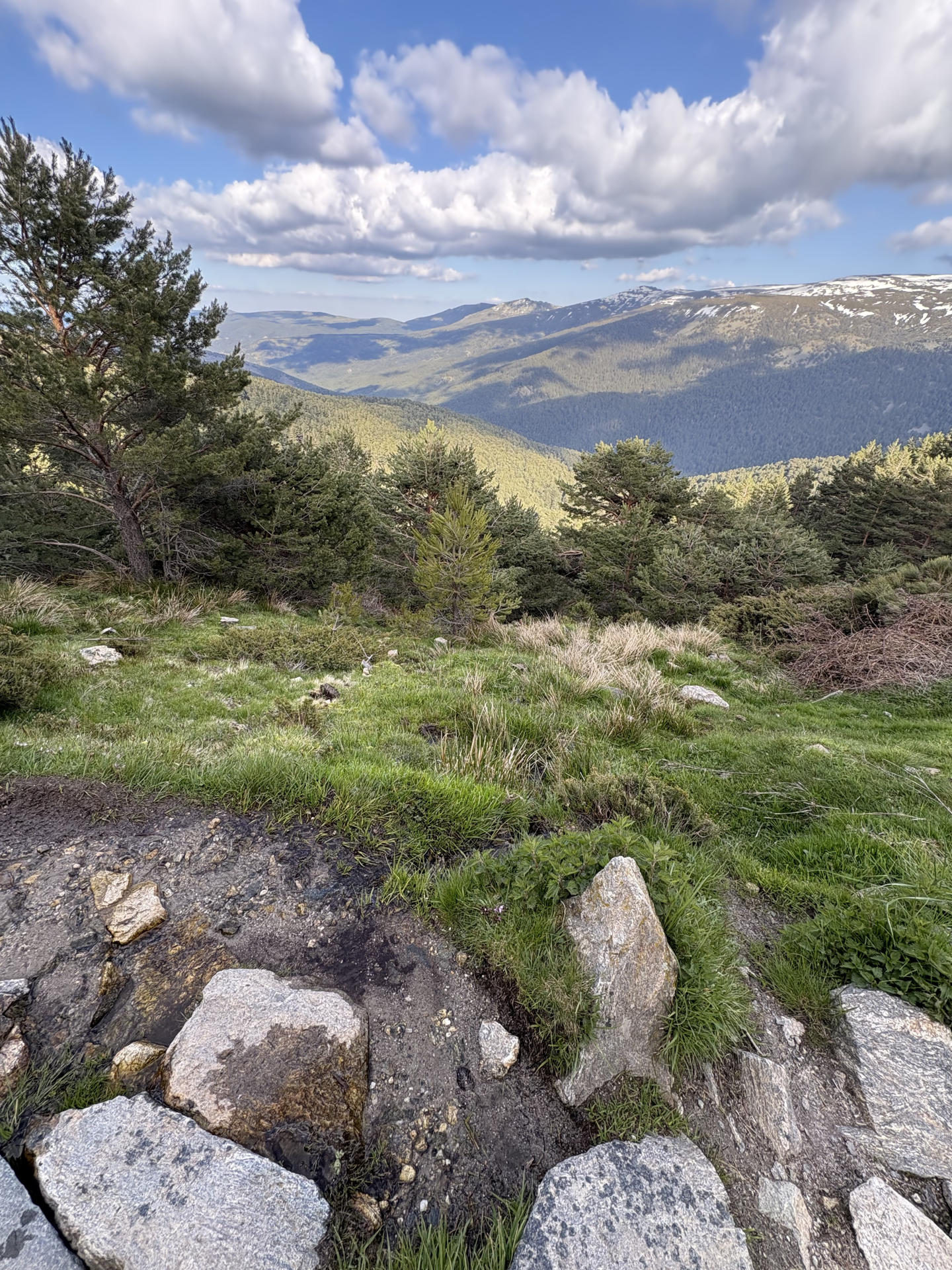 Imagen del pasado 16 de mayo de uno de los valles del Parque Nacional de la Sierra de Guadarrama. EFE/Juan Carlos Gomi